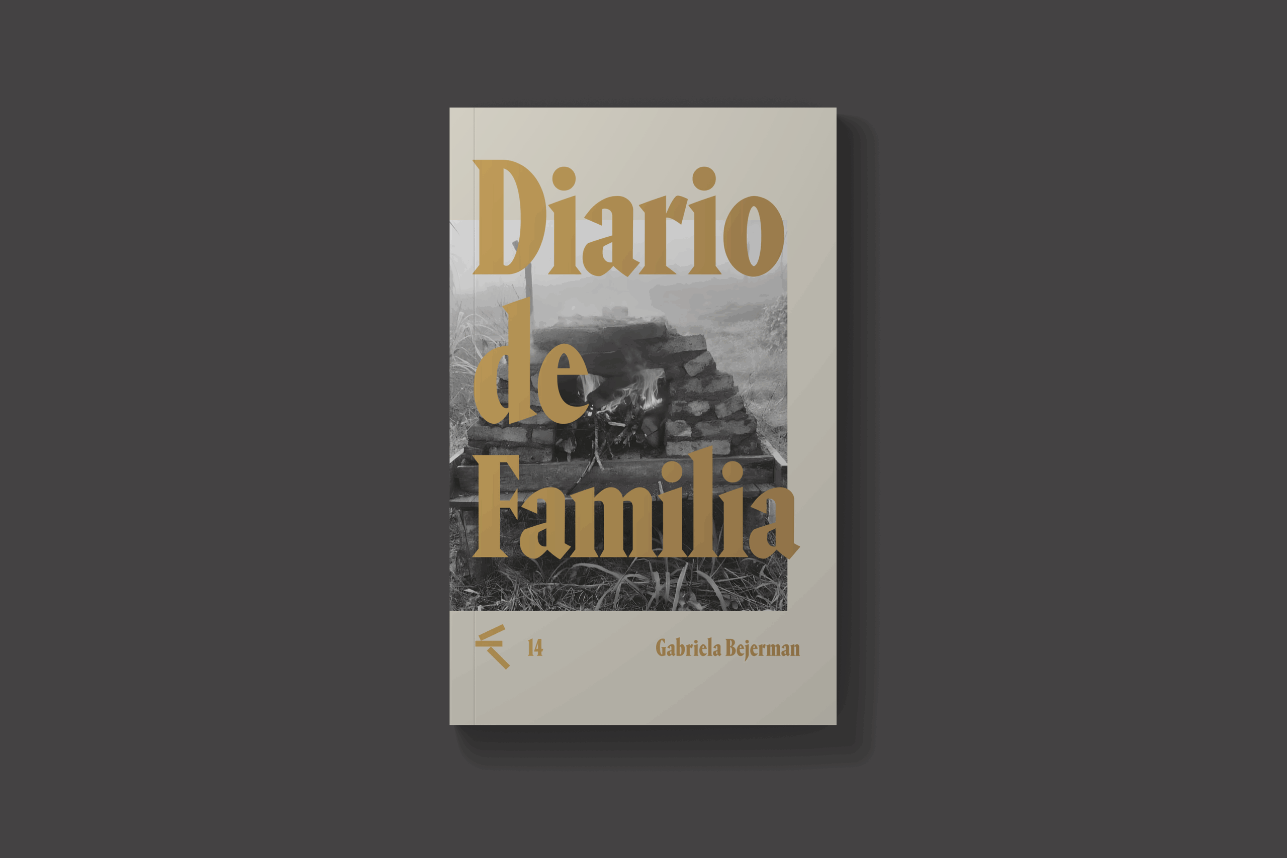 diario-de-familia-gabriela-bejerman