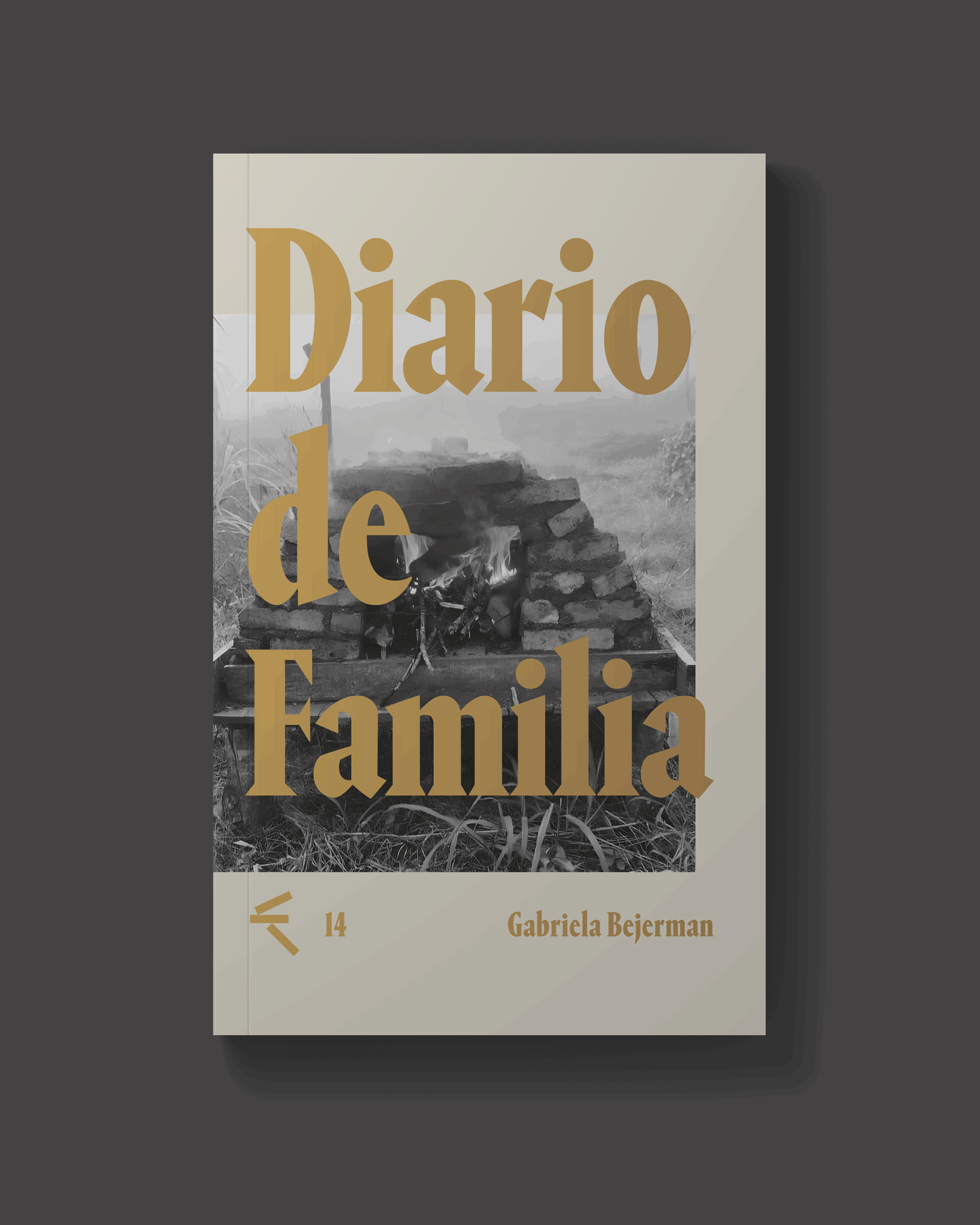 diario-de-familia-gabriela-bejerman